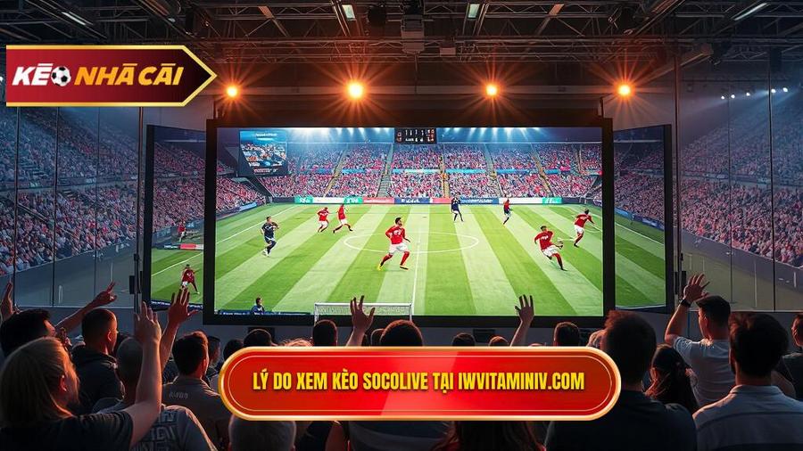 Tại sao nên theo dõi kèo bóng đá Socolive tại iwvitaminiv.com?