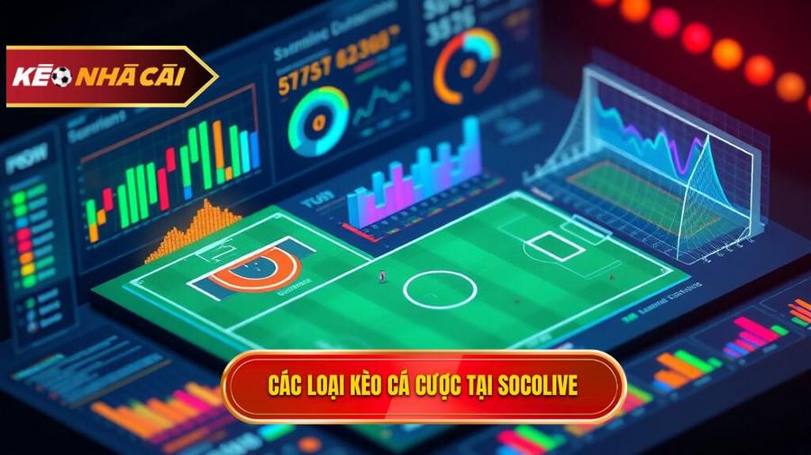 Phân tích chi tiết các loại kèo phổ biến tại Socolive