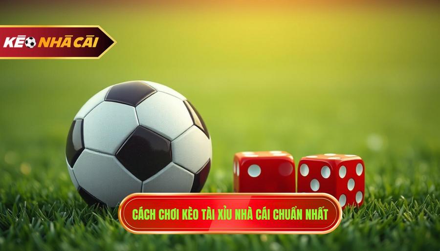 2. Cách chơi kèo tài xỉu nhà cái chuẩn nhất