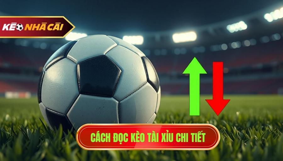 3. Cách đọc kèo Tài Xỉu chi tiết